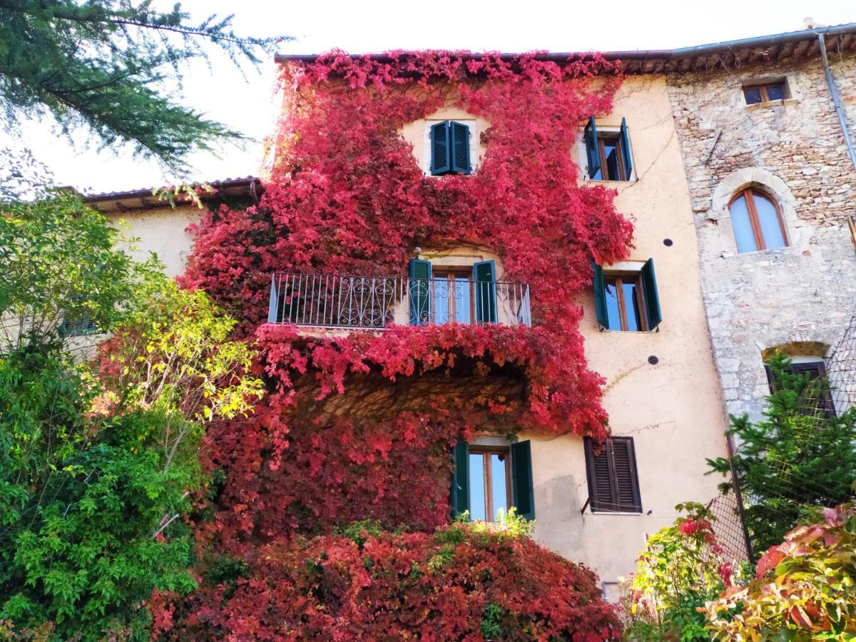 Villa La Torre Del Cerreto Cerreto di Spoleto Exterior foto